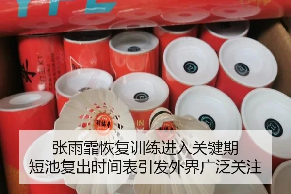 张雨霏恢复训练进入关键期 短池复出时间表引发外界广泛关注
